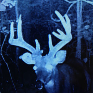 Meet your Posher, Jim